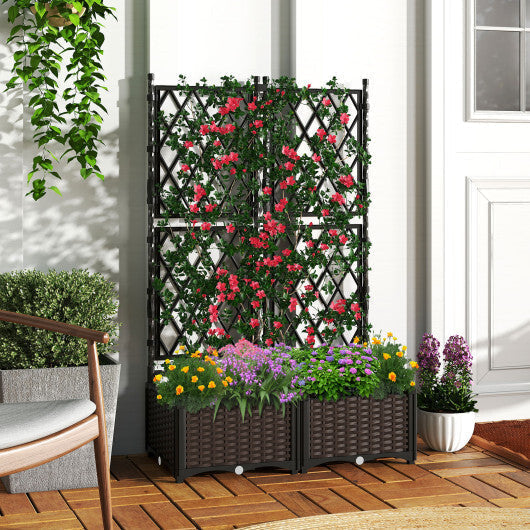 Raised Garden Bed with Lattice Trellis  Drainage Self-Watering Elevated Vertical Planter Boxes-Black LuxuryLifeWay Online Store