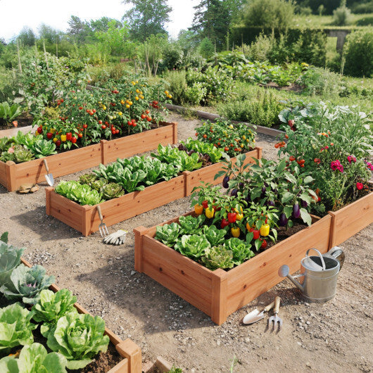 Set of 2 Wooden Vegetable Raised Garden Bed for Backyard-Orange LuxuryLifeWay Online Store