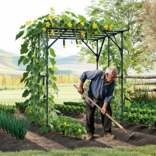 Large Garden Arch Trellis for Climbing Plants Outdoor Grape Vine Support-Black LuxuryLifeWay Online Store