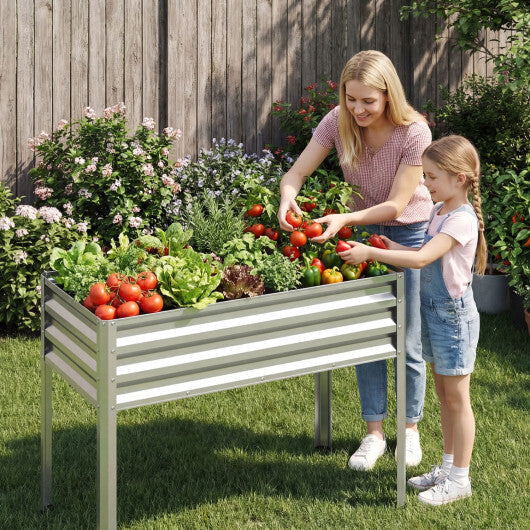 Raised Garden Bed Set of 2 Electro-Coating Metal Large Elevated Planter Box-Silver LuxuryLifeWay Online Store