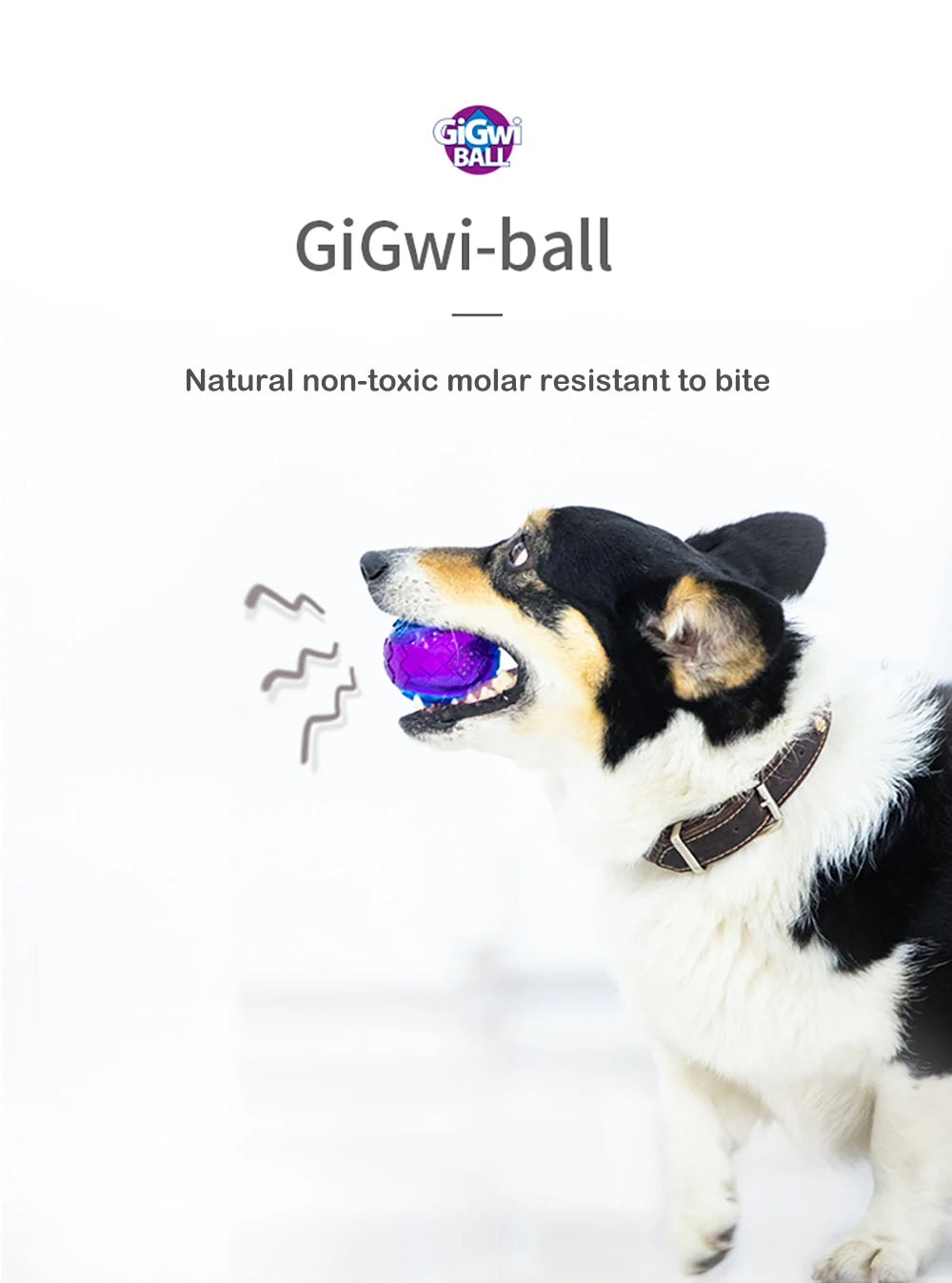 Pet Dog Squeaky Toys Ball Puppy Chew Toys Sound Pure Natural Non-toxic Rubber Outdoor Play Small Big Dog Funny Elasticity Ball Pi-Mart