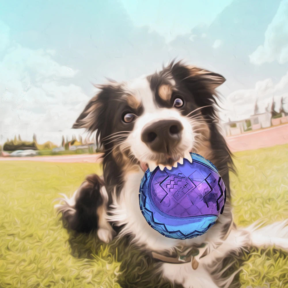 Pet Dog Squeaky Toys Ball Puppy Chew Toys Sound Pure Natural Non-toxic Rubber Outdoor Play Small Big Dog Funny Elasticity Ball Pi-Mart