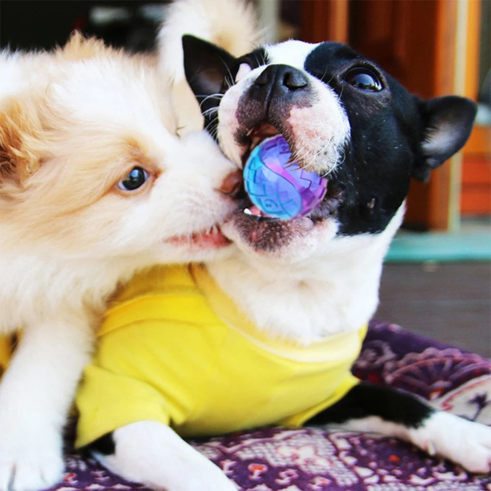 Pet Dog Squeaky Toys Ball Puppy Chew Toys Sound Pure Natural Non-toxic Rubber Outdoor Play Small Big Dog Funny Elasticity Ball Pi-Mart
