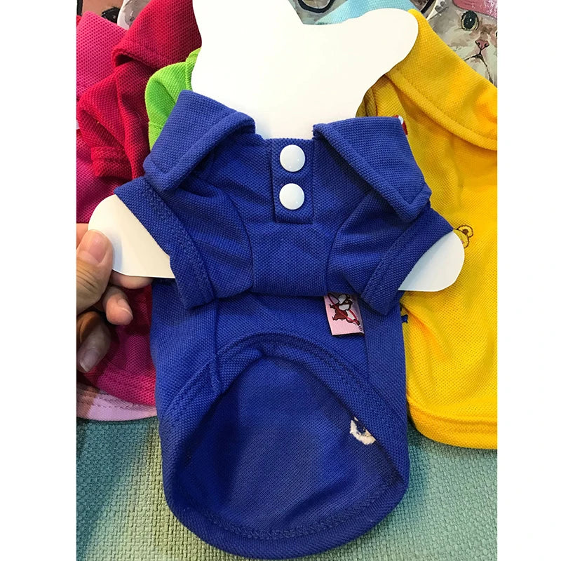 HTB1GT7LgtknBKNjSZKPq6x6OFXab