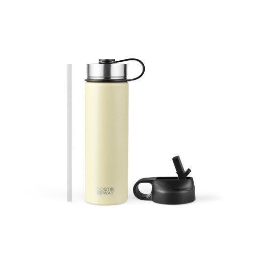 22 Oz Double-walled Insulated Stainless Steel Water Bottle with 2 Lids and Straw-Beige LuxuryLifeWay Online Store