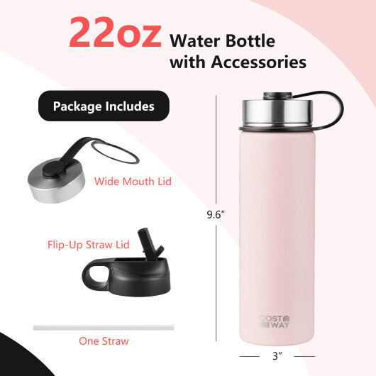 22 Oz Double-walled Insulated Stainless Steel Water Bottle with 2 Lids and Straw-Pink - Color: Pink LuxuryLifeWay Online Store