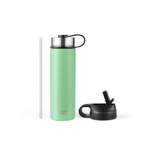 22 Oz Double-walled Insulated Stainless Steel Water Bottle with 2 Lids and Straw-Green - Color: Green LuxuryLifeWay Online Store