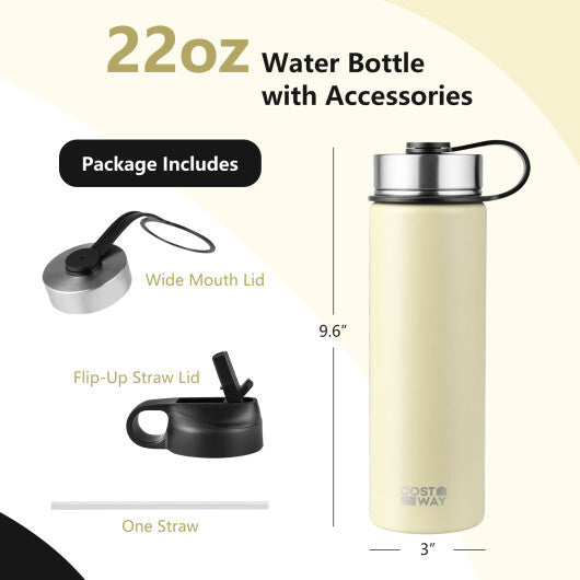 22 Oz Double-walled Insulated Stainless Steel Water Bottle with 2 Lids and Straw-Beige LuxuryLifeWay Online Store