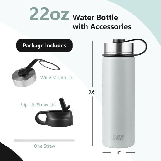 22 Oz Double-walled Insulated Stainless Steel Water Bottle with 2 Lids and Straw-Beige LuxuryLifeWay Online Store