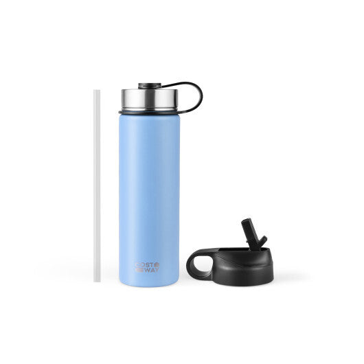 22 Oz Double-walled Insulated Stainless Steel Water Bottle with 2 Lids and Straw-Beige LuxuryLifeWay Online Store