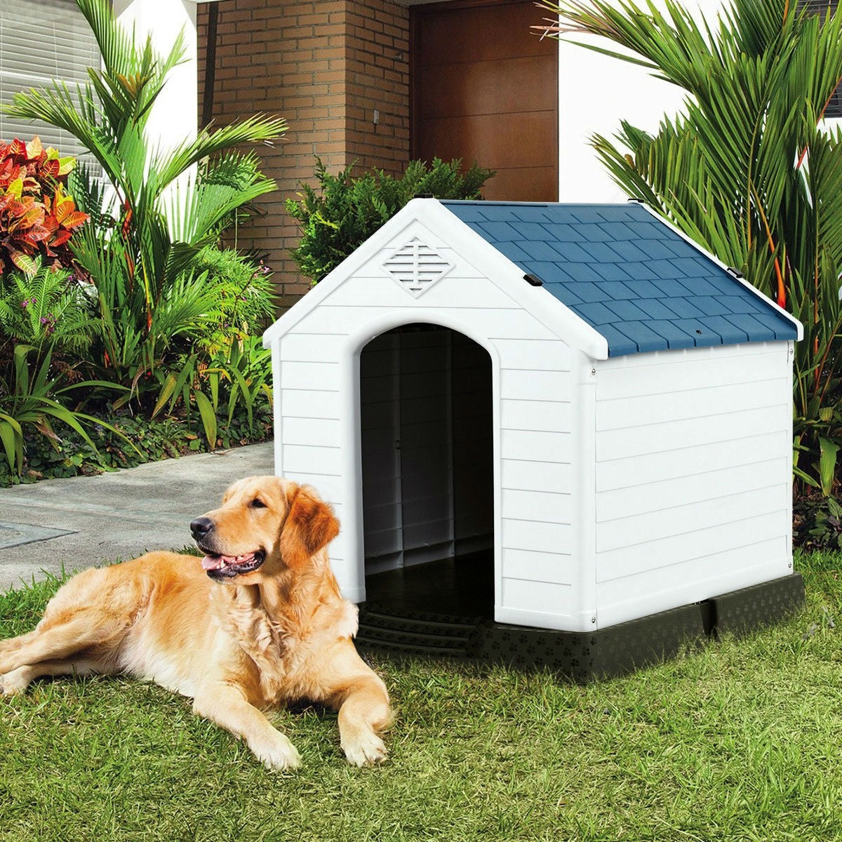 Medium size Outdoor Heavy Duty Blue and White Plastic Dog House LuxuryLifeWay Online Store