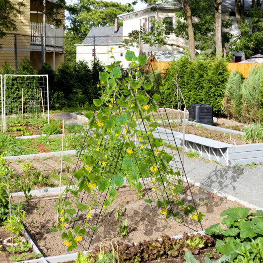 A-Frame Garden Trellis for Climbing Plant with Ground Stake and Cable Tie-Green LuxuryLifeWay Online Store