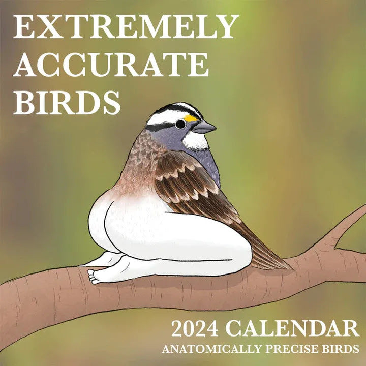 2024 Extremely Accurate Birds Calendar Decorative Wall Monthly Calendar For Bird Lovers Room Calendars For Bedroom Living