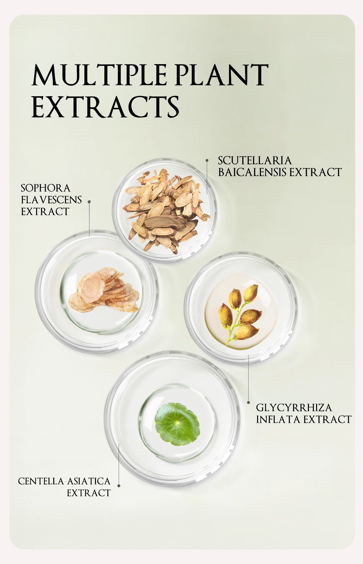 Herbaceous Exfoliating Peeling Gel Facial Scrub Moisturizing Nourishing Repair Scrubs Face Cream Beauty Skin Care Pi-Mart