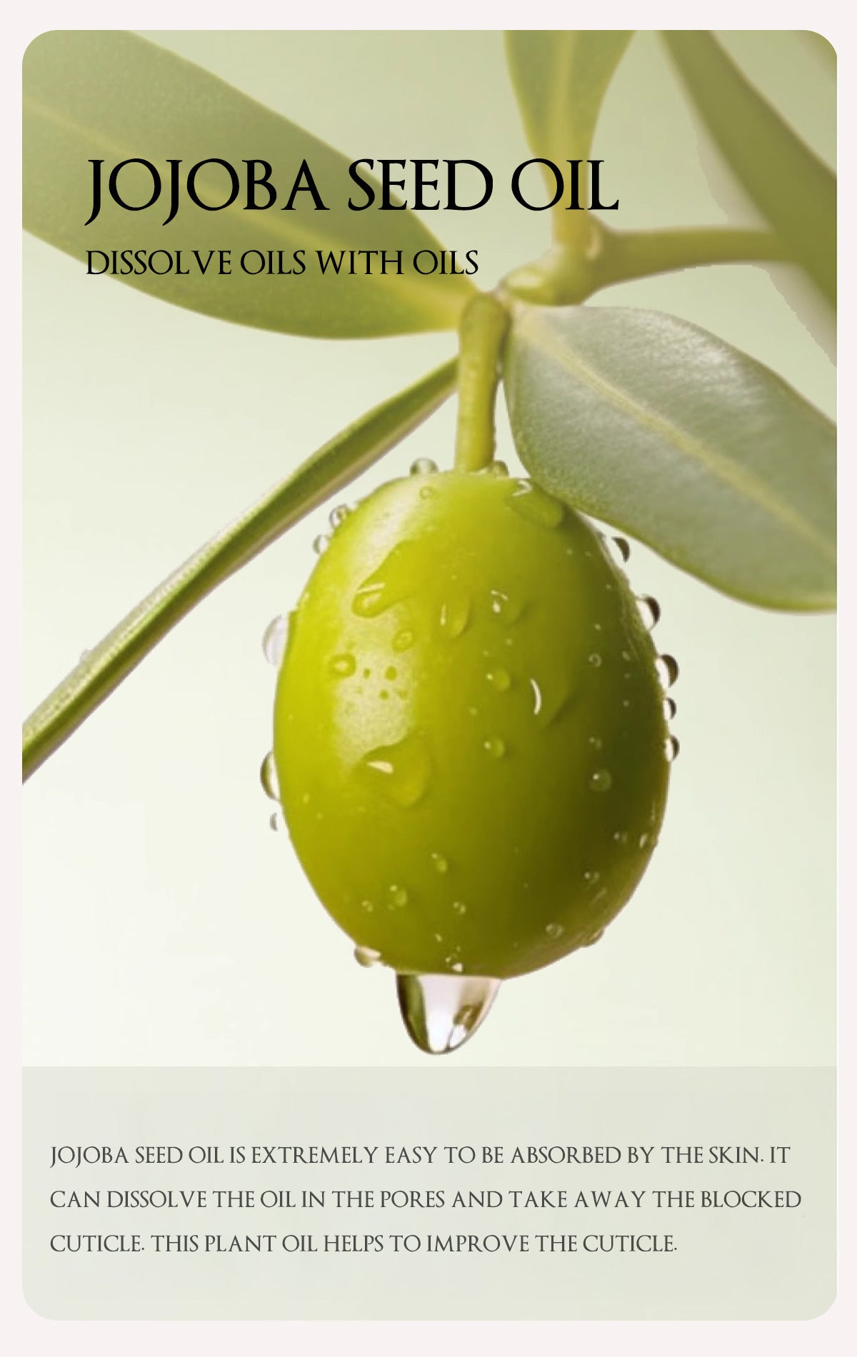 Herbaceous Exfoliating Peeling Gel Facial Scrub Moisturizing Nourishing Repair Scrubs Face Cream Beauty Skin Care Pi-Mart