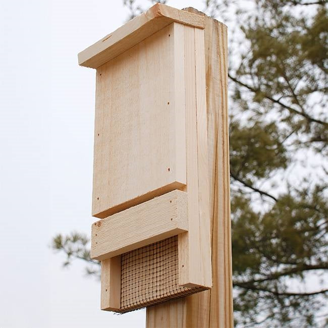 Outdoor Wood Bat House Kit - Holds up to 12 Bats - Made in USA LuxuryLifeWay Online Store