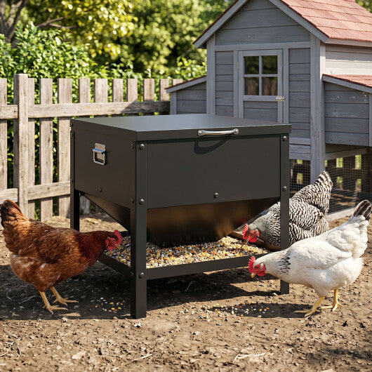 Large Capacity Chicken Feeding Box with Openable Lid-Black LuxuryLifeWay Online Store