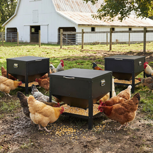 Large Capacity Chicken Feeding Box with Openable Lid-Black LuxuryLifeWay Online Store