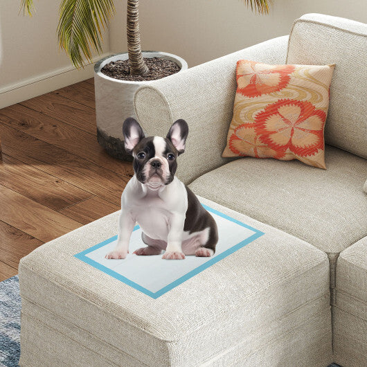 Dog and Puppy Pee Pads 18" x 13" (300 Counts) for Potty Training-Blue LuxuryLifeWay Online Store