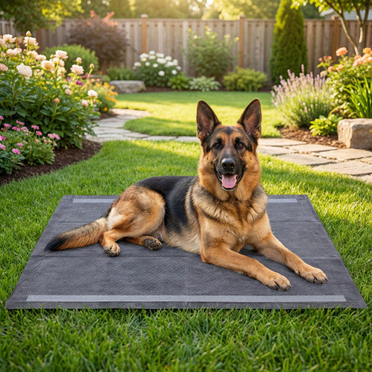 35.5" x 24" Charcoal?Dog Pee Pads 6-Layer for Dogs-Black LuxuryLifeWay Online Store