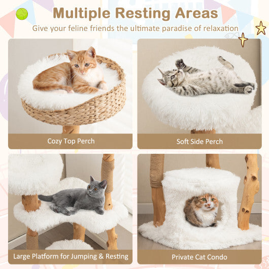 Solid Wood Cat Tower with Top Cattail Basket Cat Bed for Indoor Cats-White LuxuryLifeWay Online Store