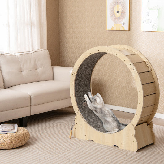 40 Inch Large Cat Exercise Wheel with Lockable Mechanism and Carpeted Runaway for Indoor Cats-Natural LuxuryLifeWay Online Store