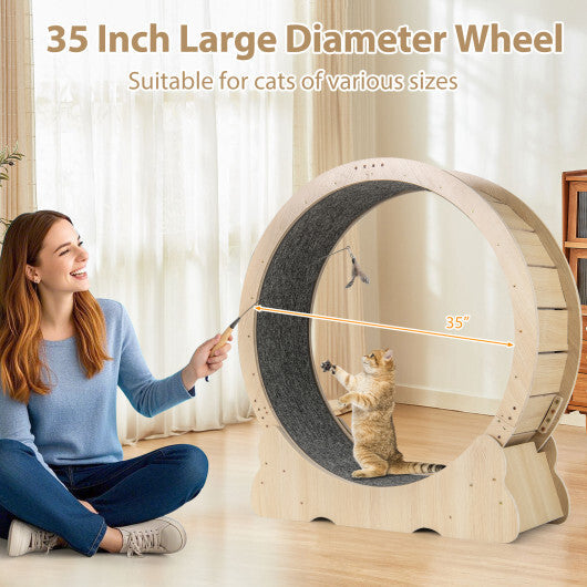 40 Inch Large Cat Exercise Wheel with Lockable Mechanism and Carpeted Runaway for Indoor Cats-Natural LuxuryLifeWay Online Store