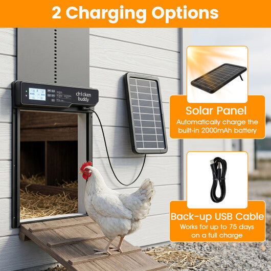 Solar Powered Automatic Chicken Coop Door LuxuryLifeWay Online Store