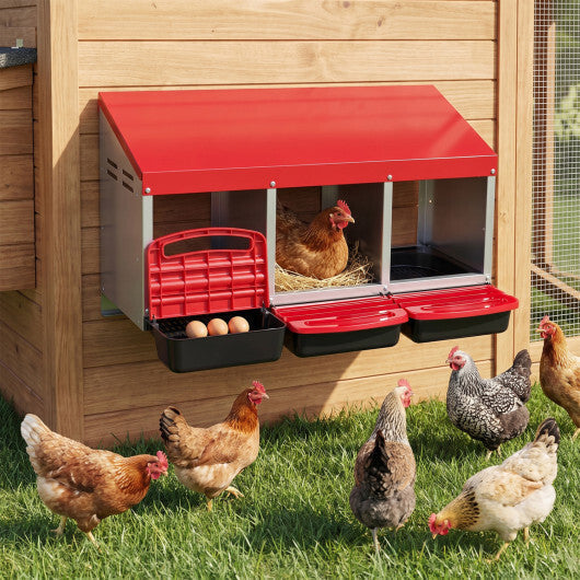 3-Compartment Roll Away Metal Chicken Nesting Box for Hens-Green LuxuryLifeWay Online Store