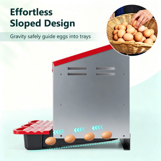 3-Compartment Roll Away Metal Chicken Nesting Box for Hens-Green LuxuryLifeWay Online Store