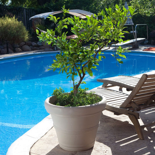 12-inch Diameter Round Planter in Weathered Concrete Finish Poly Resin LuxuryLifeWay Online Store