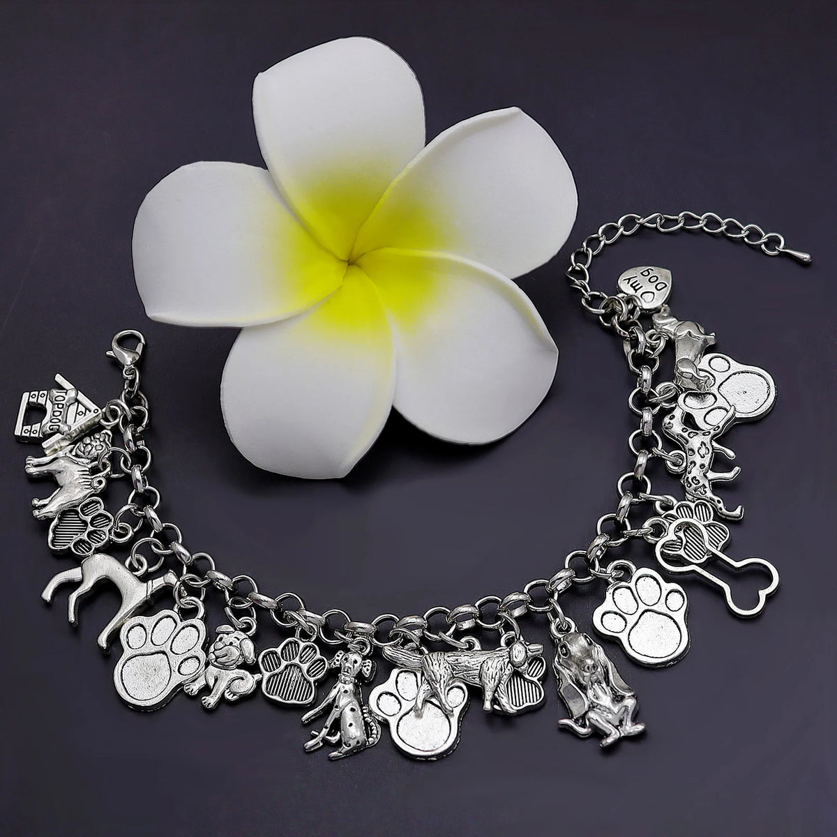 Clearance_Cat Pendant Charm Chain Link Bracelets For Women Cowgirl Cuff Bangles Fashion Jewelry Egyptian Bastet Pulseira Accesso Pi-Mart