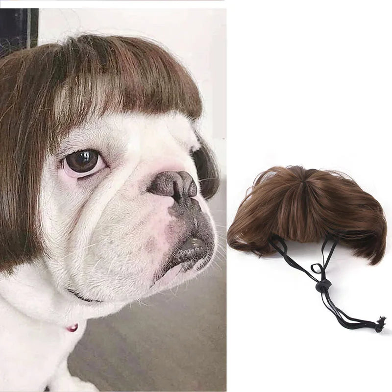 Pet Wigs Cosplay Props Dog Cat Cross-Dressing Hair Set Photography Funny Props Head Accessories Prank Pet Supplies Costumes DIY Pi-Mart