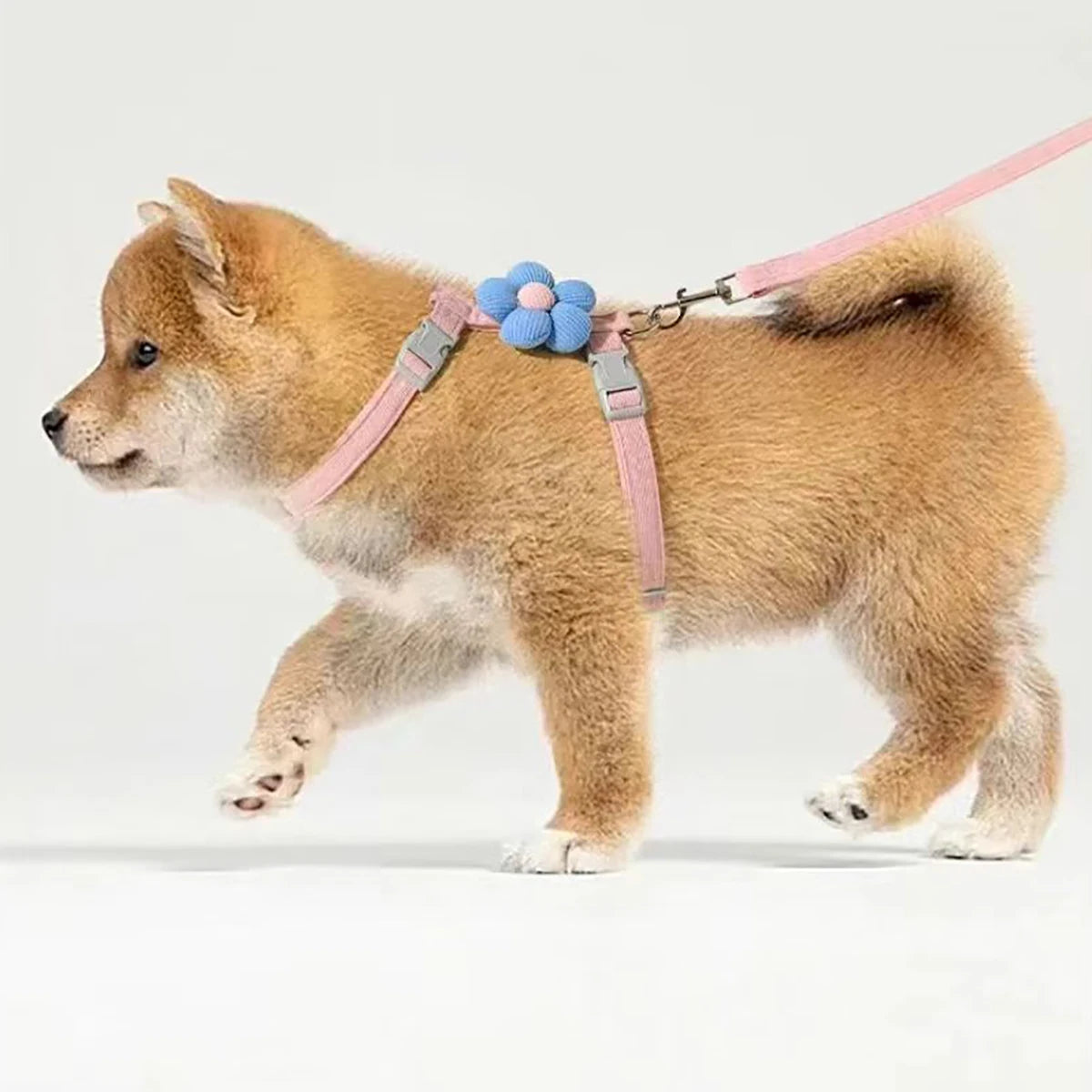 Cat Harness and Leash Sets Adjustable Dog Harness for Small Dog Leash Breashable Pet Harness Out Walking Dog Strap Cat Accessory Pi-Mart