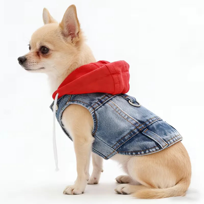 Denim Pet Clothes for Small Dogs Puppy Jeans Hoodie with Gray Cap Blue Denim Chihuahua Jacket 2026 New Designer Cowboy Shirt Pi-Mart