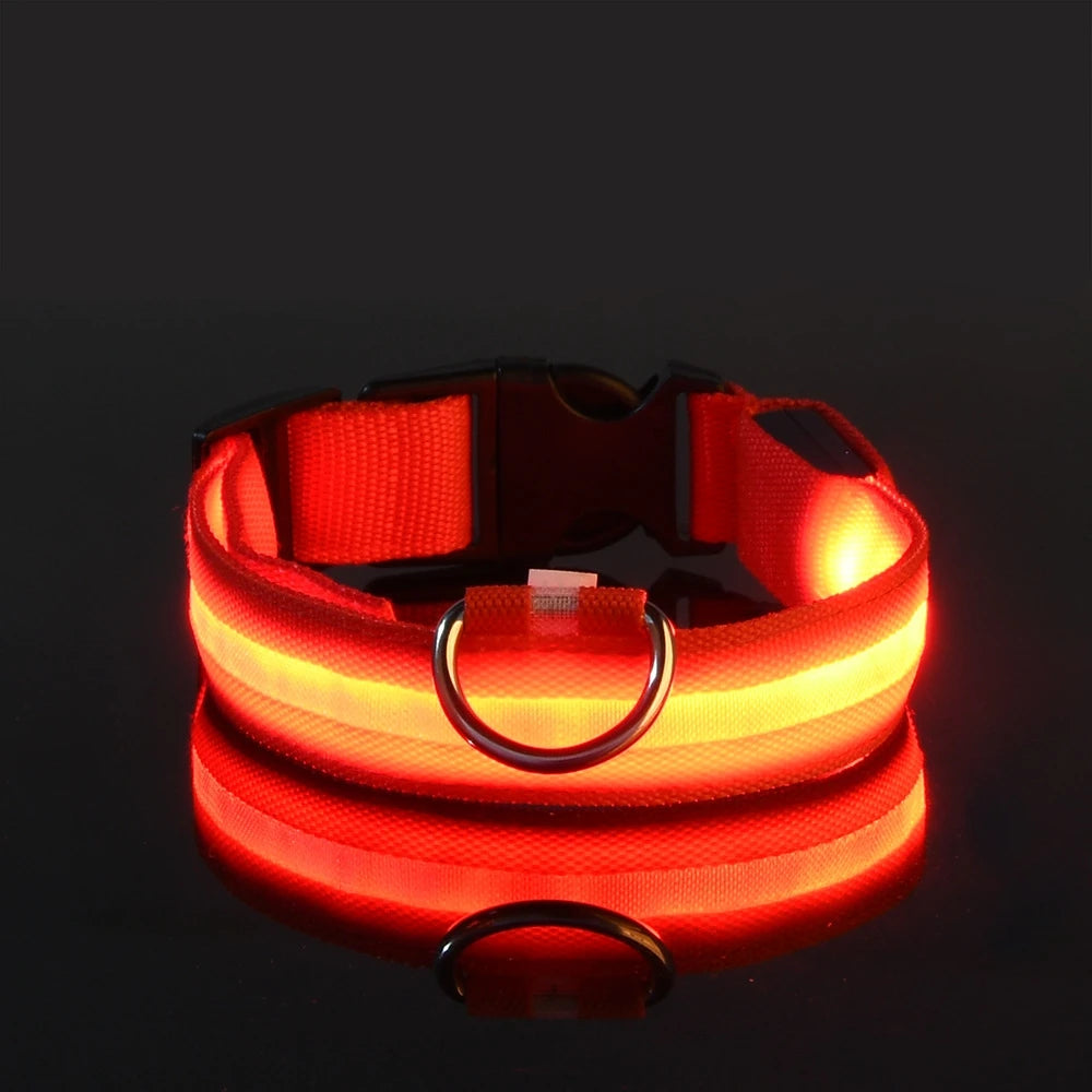 Nylon LED Night Safety Flashing Glow In The Dark Dog Leash Dogs Luminous Fluorescent Pet Dog Collar Pi-Mart