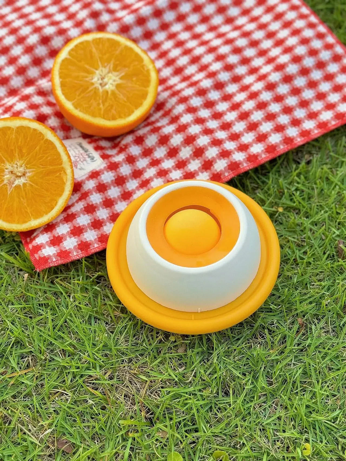 2-in-1 Slow Feeder Lick Mat Pet Puzzle Toy for Dog Cat Pi-Mart