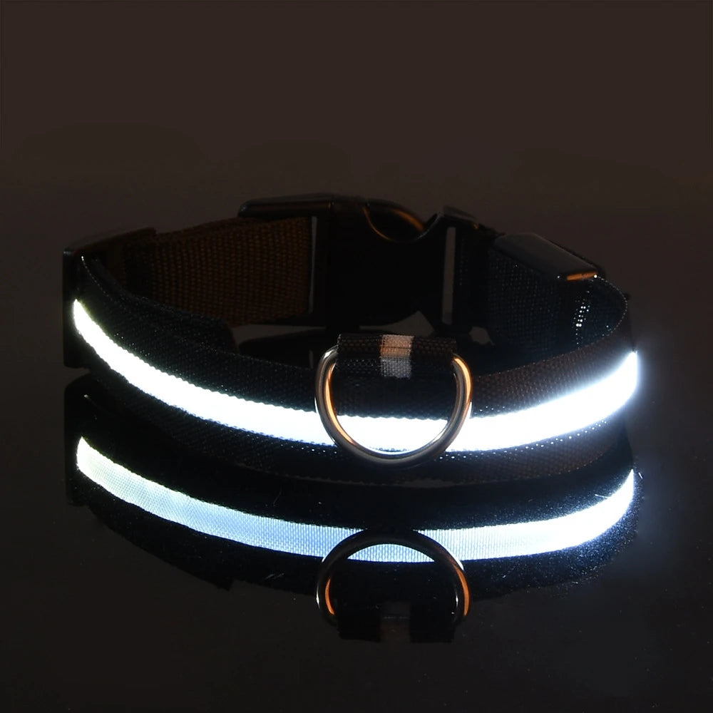 Nylon LED Night Safety Flashing Glow In The Dark Dog Leash Dogs Luminous Fluorescent Pet Dog Collar Pi-Mart
