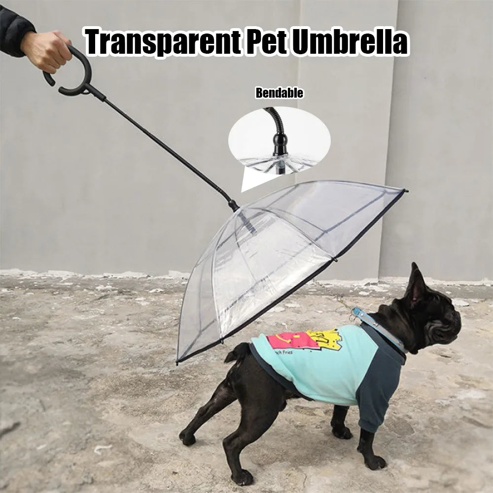 New Transparent Pet Umbrella Well Made Detachable Adjustable Rainy Day Outdoor Dog Walking Leash for Small Dogs Pet Supplies Pi-Mart