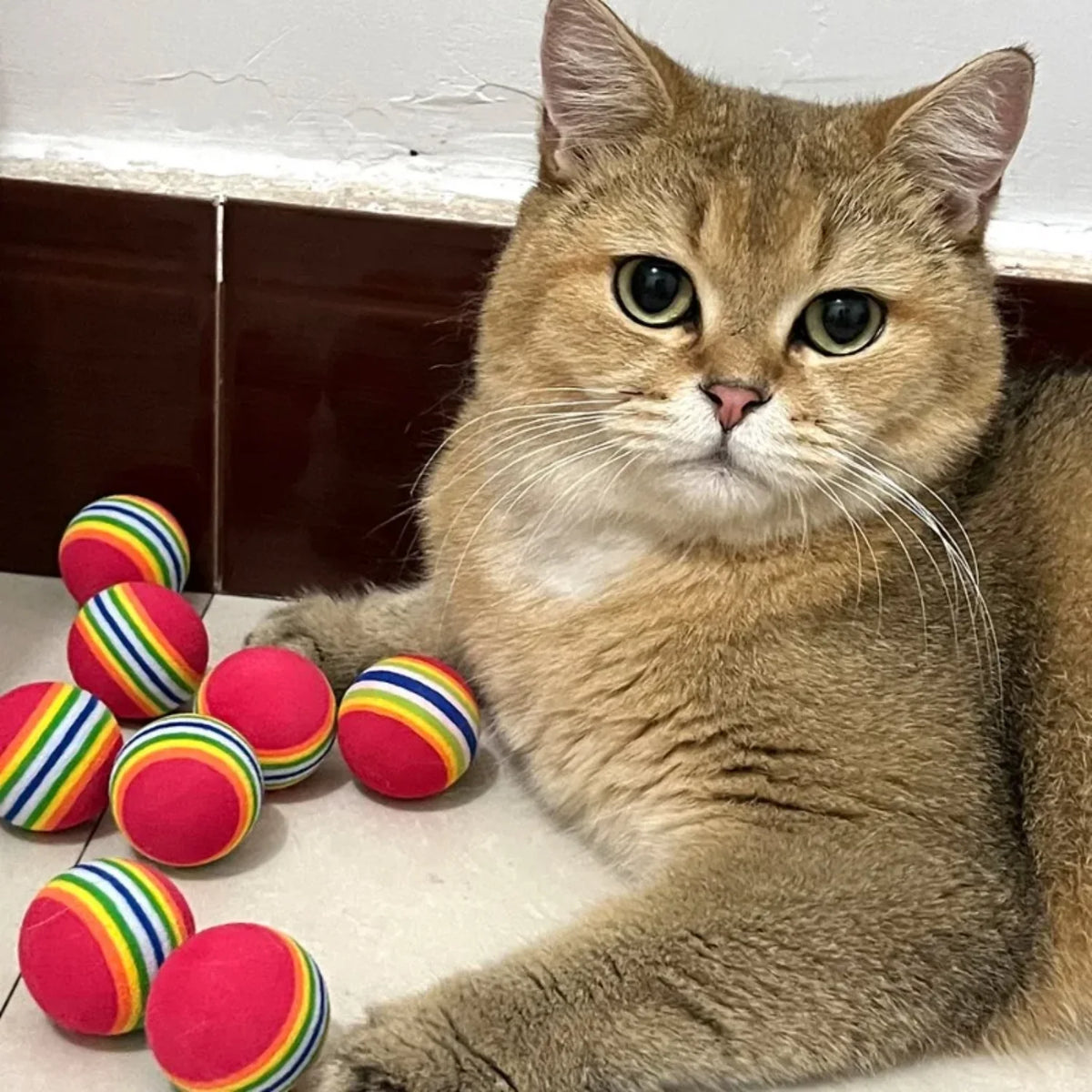 10-100x Colorful Cat Toy Ball EVA Bite-Resistant Elastic Rainbow Ball Kitten Puppy Chewing Training Interactive Toy Pet Supplies Pi-Mart