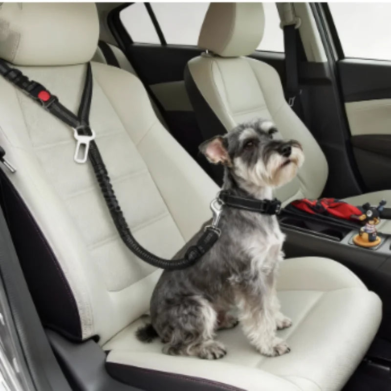 Reflective Pet Dog Car Seat Belt Puppy Collar Walking Travel Car Accessories Cat Leash Harness for Small Dogs Pet Car Supplies Pi-Mart