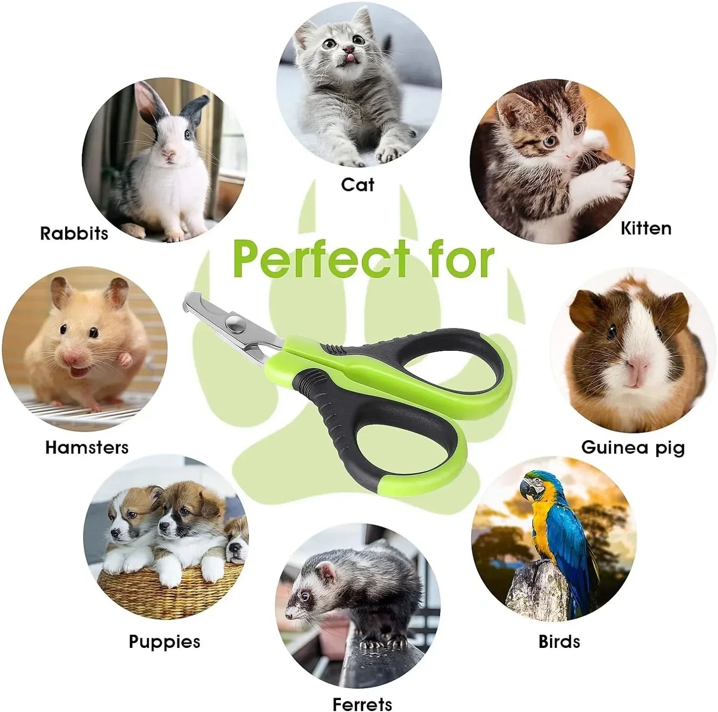 Hot Sale Cat Nail Toe Claw Clippers Trimmer Grooming Tools Animals Pet Supplies Stainless Steel Dog Nail Clipper Scissors Pi-Mart