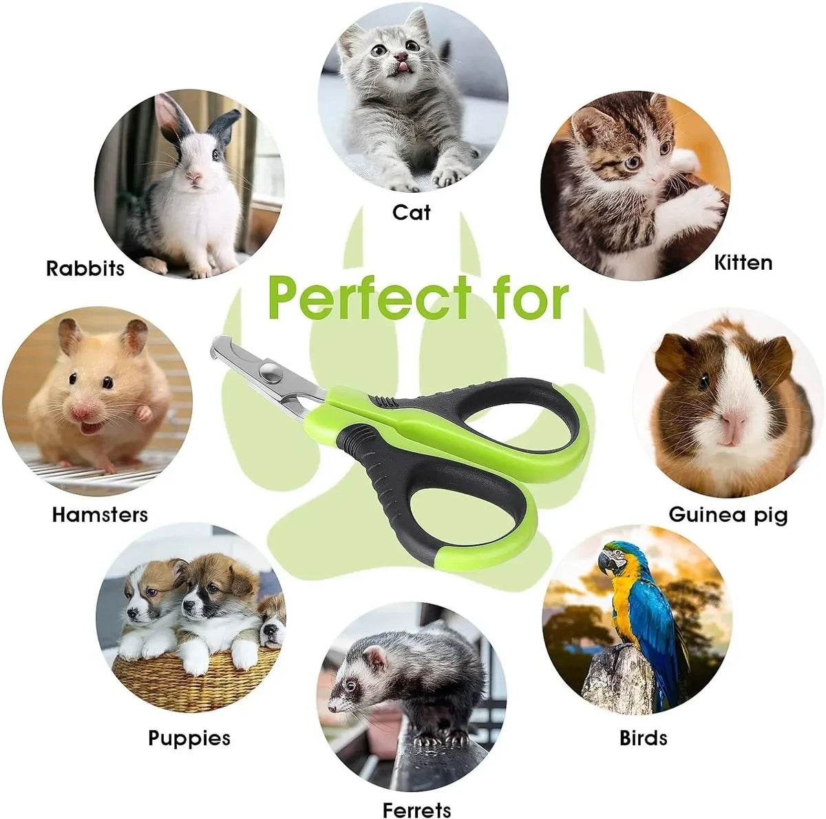 Hot Sale Cat Nail Toe Claw Clippers Trimmer Grooming Tools Animals Pet Supplies Stainless Steel Dog Nail Clipper Scissors Pi-Mart