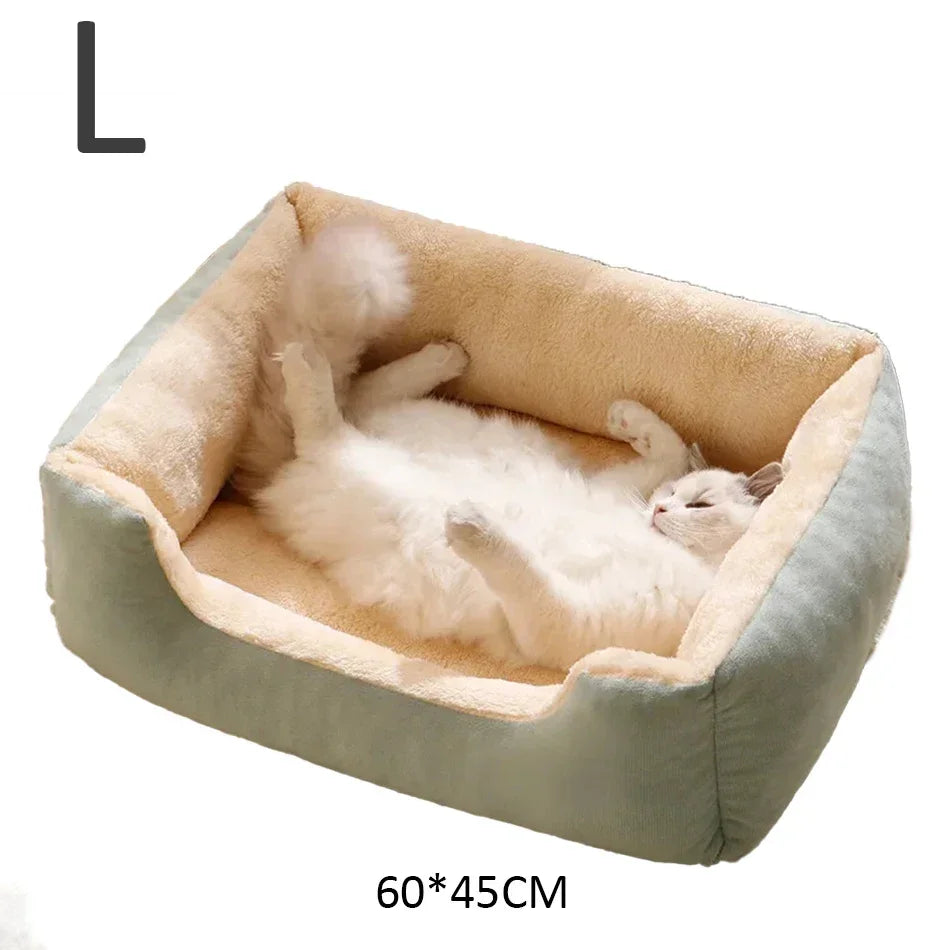Bed for Cats Pet Products Cushions Kitten Goods Accessories Dog All Houses Supplies Things Accessory Habitats Basket House Beds Pi-Mart