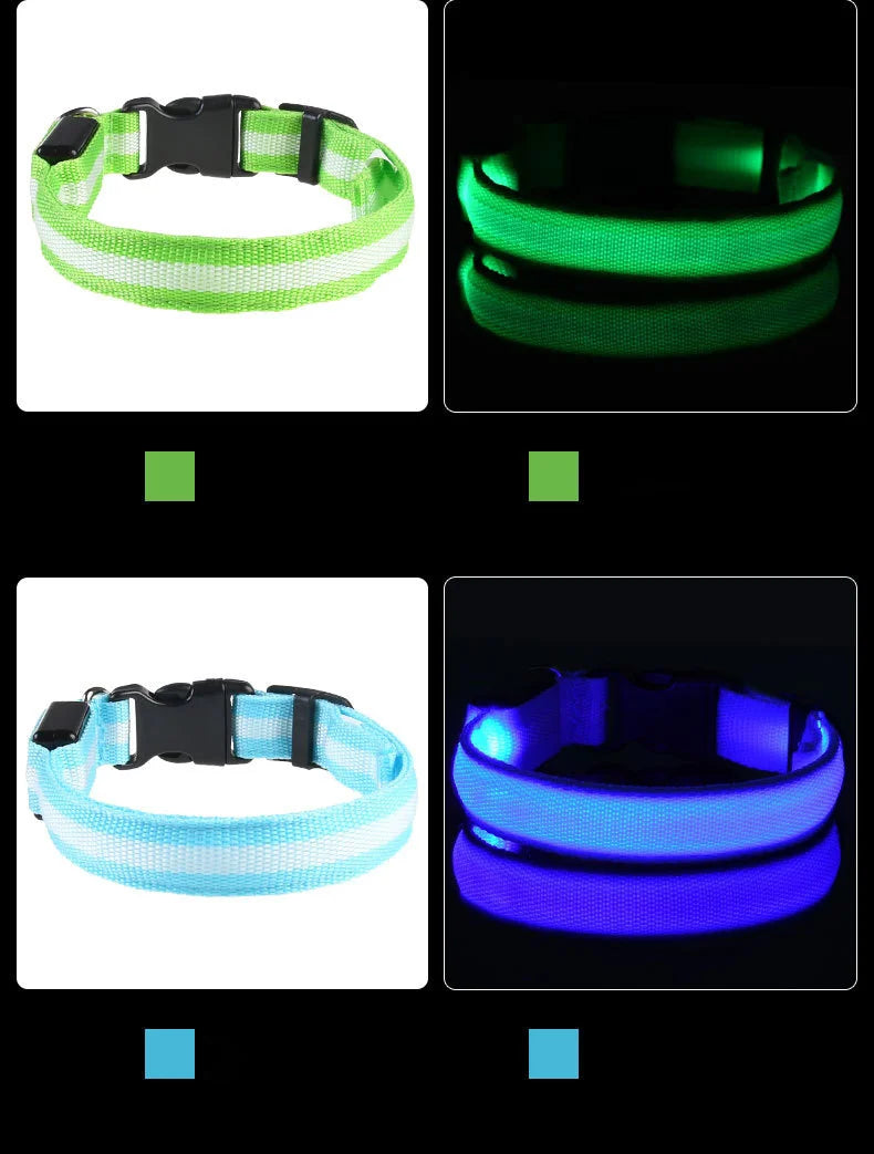 Nylon LED Night Safety Flashing Glow In The Dark Dog Leash Dogs Luminous Fluorescent Pet Dog Collar Pi-Mart