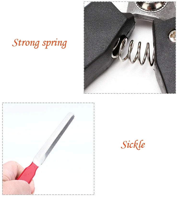 Pet Nail Clippers with Sickle Large Dog Nail Clippers Nail Clippers Multifunctional Teddy Cat Stainless Steel Grooming Scissors Pi-Mart