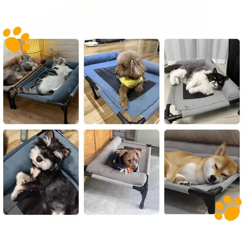 Elevated Cooling Mesh Dog Cot Breathable Moisture Resistant Bed With Pillow Four Seasons Use Indoor For Dog Cat Pet Supplies Pi-Mart