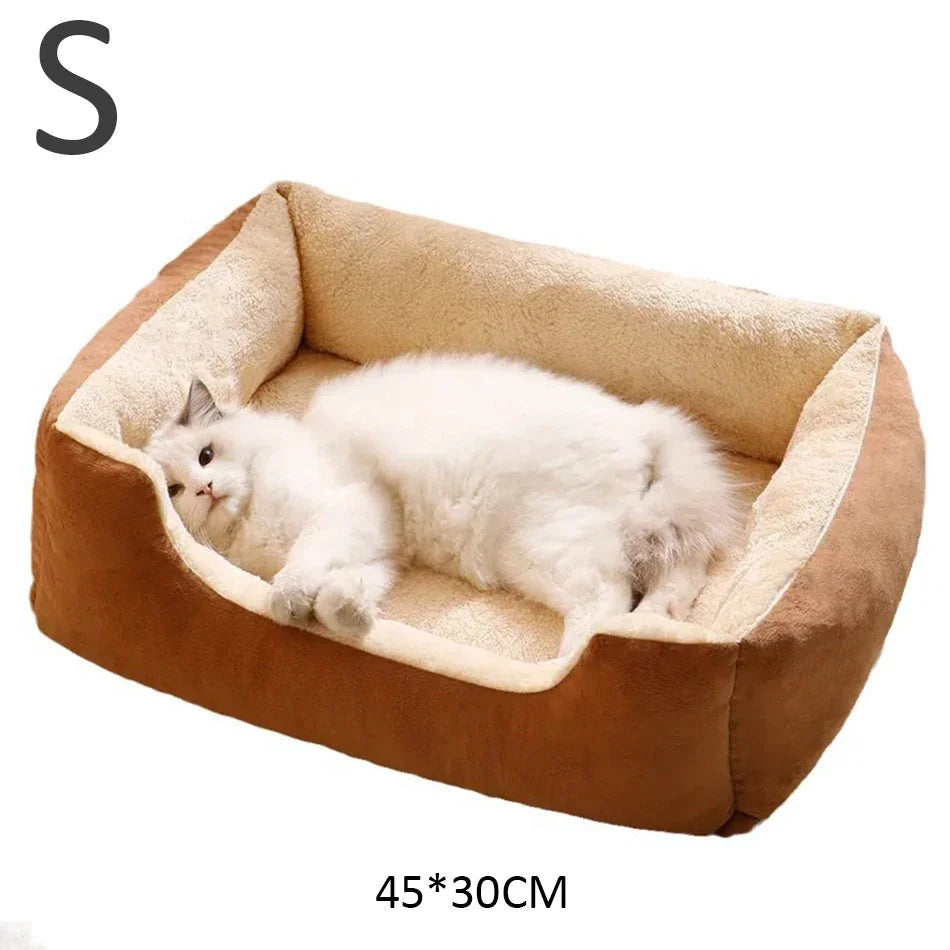 Bed for Cats Pet Products Cushions Kitten Goods Accessories Dog All Houses Supplies Things Accessory Habitats Basket House Beds Pi-Mart
