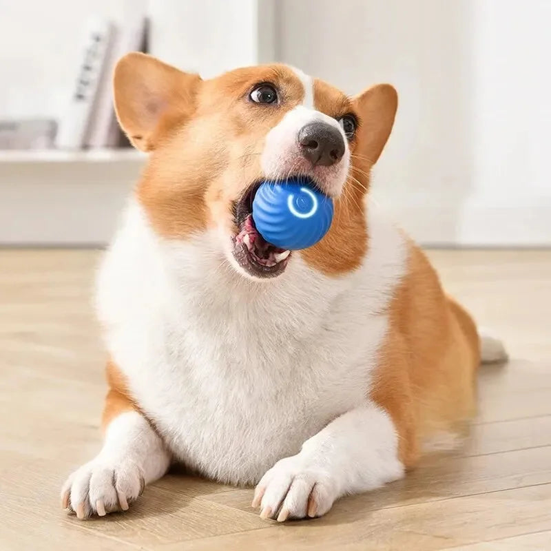 Smart Dog Toy Ball Electronic Interactive Pet Toy Moving Ball USB Automatic Moving Bouncing for Puppy Birthday Gift Cat Products Pi-Mart