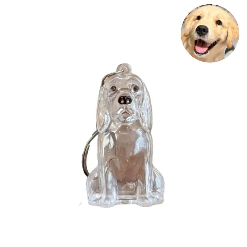 Diy Bag Charm Handmade Pet Hair Memorial Keychain Keepsake Pendant for Dog Fur - Personalized Pet Loss Gift for Dog Lovers Pi-Mart